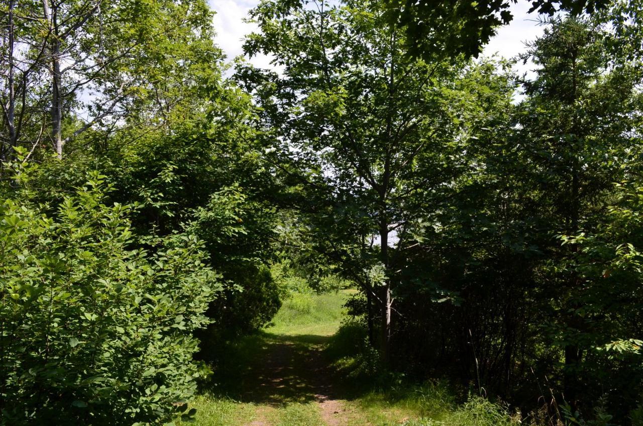 Still Point Lodge Deep Brook Zewnętrze zdjęcie