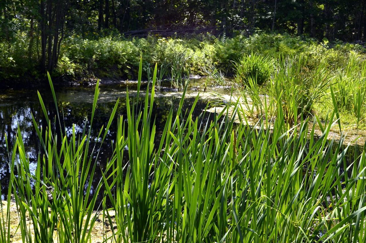 Still Point Lodge Deep Brook Zewnętrze zdjęcie